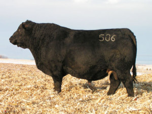 Jauer Emblazon 760 506